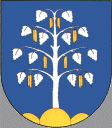 Die silberne Birke im Wappen von Birchwil bezieht sich auf den ersten Ansiedler, den Alemannen Piricho. Die Birke im Wappen fand man bei der Feuerwehr; auf einem Löscheimer und auf Armbinden anno 1847.